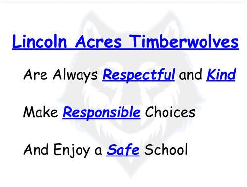 Behavior Expectations